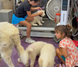 Pippin & Marisa Litter 5/26
