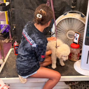 2074803722 Inside Our Maremma Puppy Program