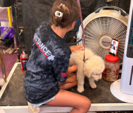 Pippin & Marisa Litter 5/26