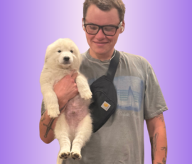 190835742 Pippin & Nova Litter 5/26